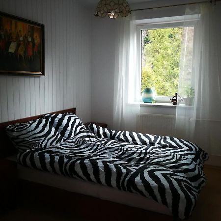 Szczyrk Mountainski Apartament Exteriér fotografie